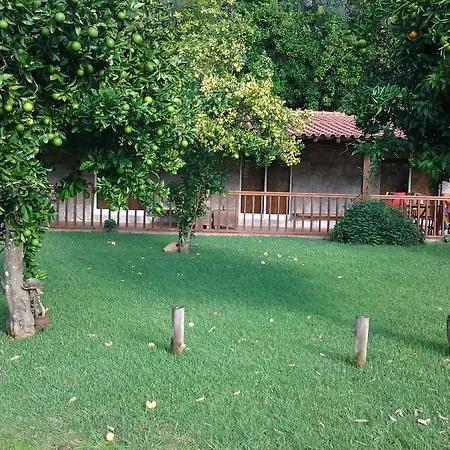 Quinta Do Jaco Ferienhaus Vieira do Minho